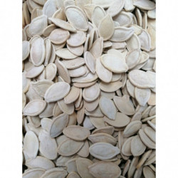 SEMI DI ZUCCA TOSTATA (NON...