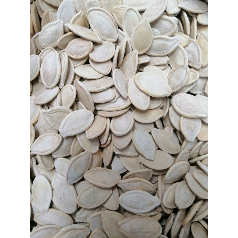 SEMI DI ZUCCA TOSTATA (NON SALATA) KG 1