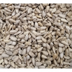 Semi di girasole decorticato